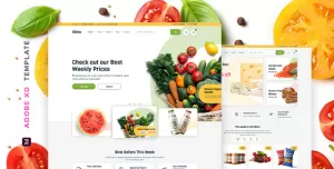 Disho – Grocery Store for XD