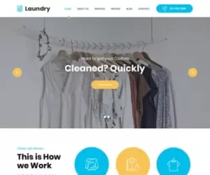 Efficient Dry Cleaning WordPress theme laundry washing clothes 2024