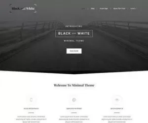 Easiest Free WordPress Theme Download With Black White Design