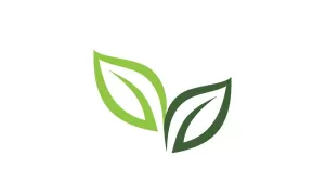 Eco Leaf Green Energy Logo Vector V26 - TemplateMonster
