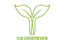 Eco leaf green nature element go green logo v20