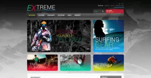 Effective Online Store Magento Theme - TemplateMonster