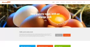 Egg Farm Website Template