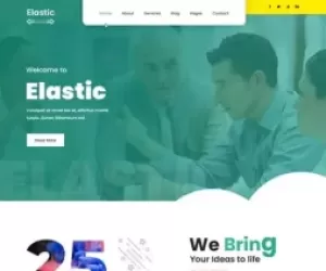 Elastic Pro Customizable WordPress theme page building flexible websites