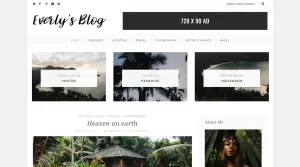 Everly - WordPress Blog Theme