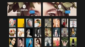 Flickr WordPress Gallery and Profile - Plugins & Extensions