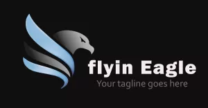 Flying Eagle Logo Adventure