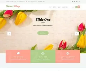 Download Free Shop WordPress Theme for Online Store and Shop