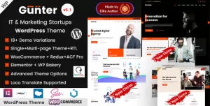 Gunter - IT Company & SEO Marketing Portfolio WordPress Theme