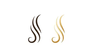 Hair SalonLogo Template Vector Illustration Design V5