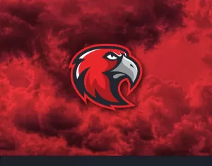 Hawks Sports Logo Template