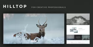 Hilltop - PSD Template for Creative Professionals