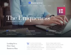 Instructee - Consulting Services WordPress Elementor Theme