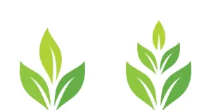 Leaf  Eco Green Nature Logo Vector V9 - TemplateMonster