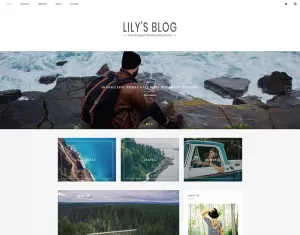 Lily - Clean & Elegant Blog WordPress Theme - TemplateMonster