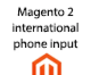 Magento 2 international phone input