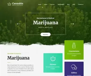 Marijuana Dispensary WordPress theme medical cannabis herbs organic