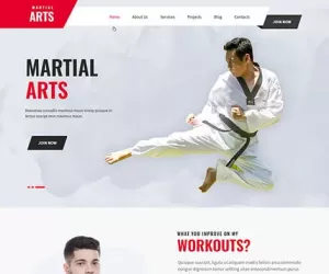 Martial Arts WordPress Theme 4 kickboxing karate judo kungfu MMA class