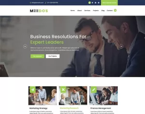MillDos Finance  Business Consulting PSD Template