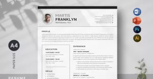 Minimal Modern Resume / CV Design Template - TemplateMonster