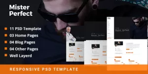 Mister Perfect - Minimal CV/Resume PSD Template
