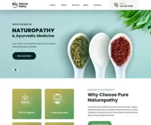 Naturopathic WordPress theme 4 immunotherapy naturopathy cure