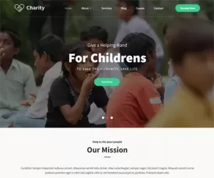 NGO WordPress theme charity fundraiser donation voluntary humanitarian