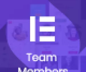 Noo Team Member - Addon for Elementor Page Builder