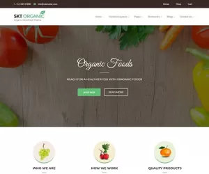 Organic WordPress theme for organic natural food & packaging company