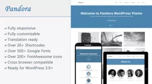 Pandora - Responsive WordPress Theme