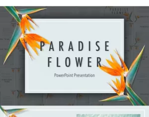 Paradijsbloem Sjablonen PowerPoint presentatie