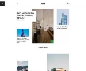 Poppy - Blog & Magazine Elementor Template Kit