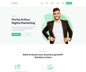 Porka - Digital Marketing Personal Portfolio Elementor Template Kit