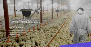 Poultry Farm Premium Moto CMS 3 Template - TemplateMonster