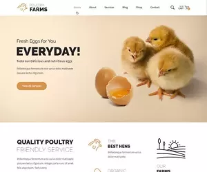 Poultry farm WordPress theme for eggs chicken meat supply agriculture