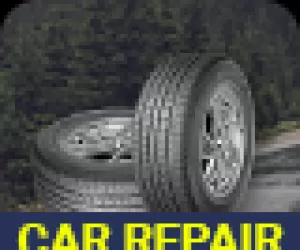Professional Services  Car Repair Service Banner (PS027)