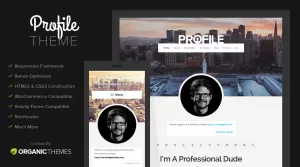Profile - WordPress Theme