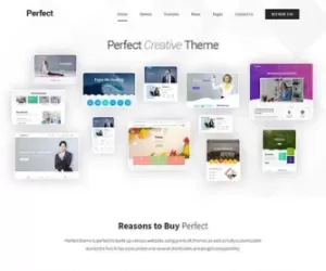 SKT Perfect - Commercial WordPress Theme for commercial sites