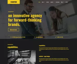 STARTOR - Agency & Company Elementor Template Kit
