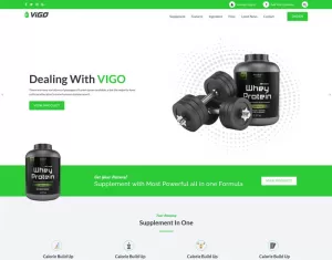 VIGO - Single Product Supplement WordPress Theme