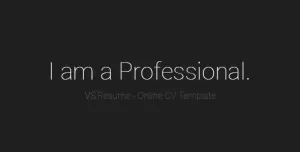 VSResume - Online CV / Resume Template