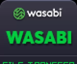 Wasabi - Direct Native Multipart File Transfer