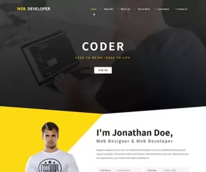 Web Programmer WordPress theme developer designer agencies IT coder