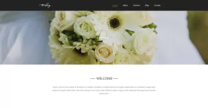 Wedding - Wedding Salon Multipurpose Modern WordPress Elementor Theme