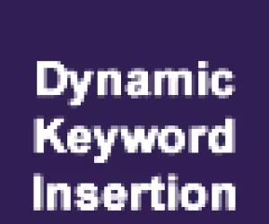 Wordpress Dynamic Keyword Insertion