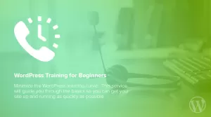 WordPress - Theme Training - Professional Services